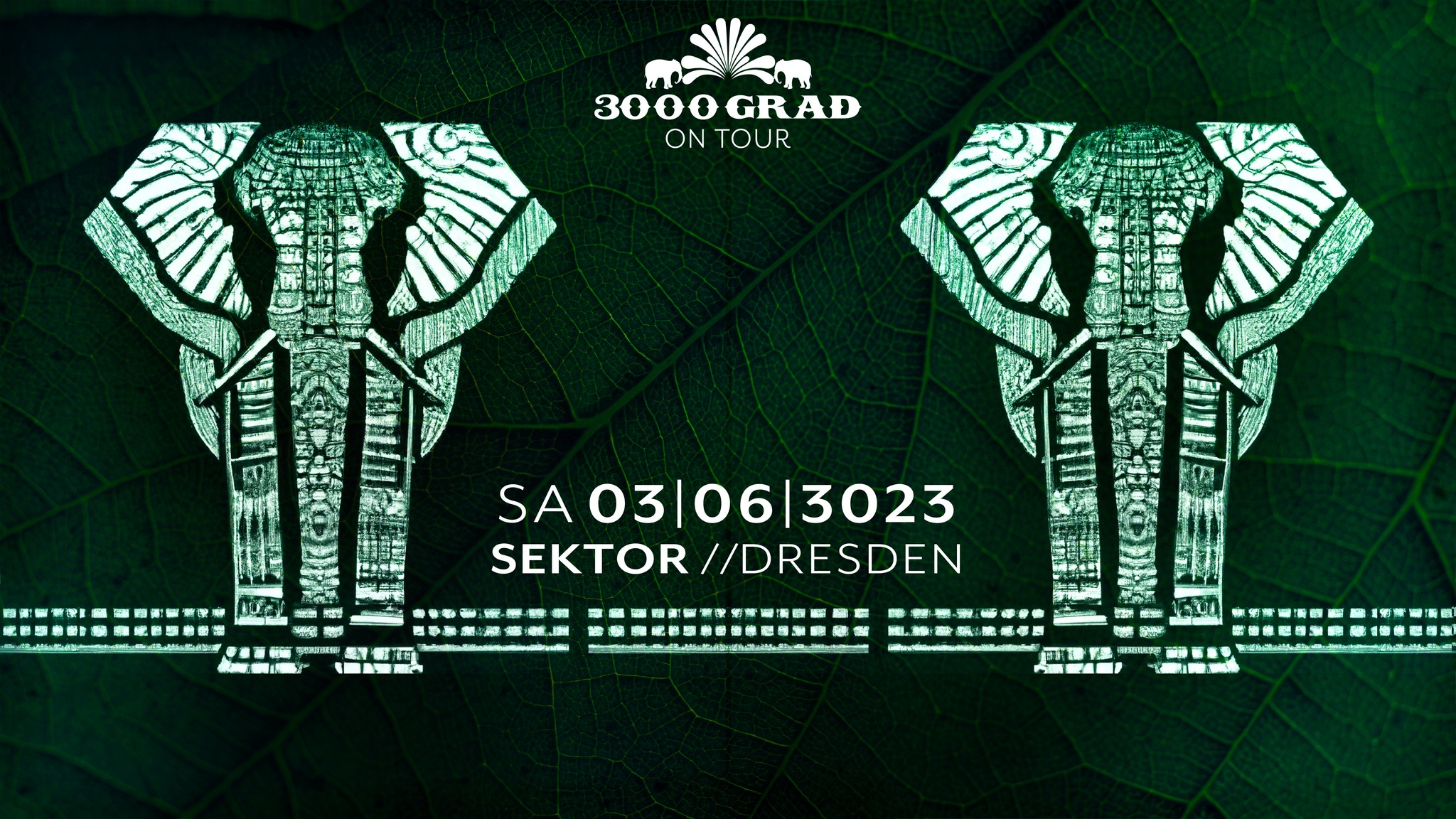 3000Grad on Tour @Sektor Dresden